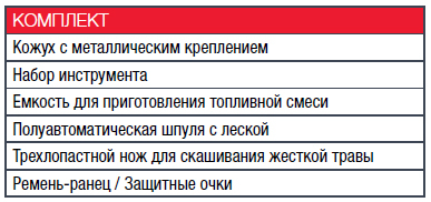 Бензокоса Fubag FPT 43 (38710)