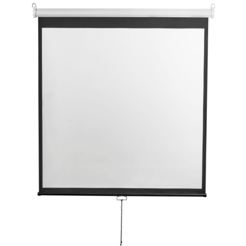 Экран 240x240см Digis Optimal-D DSOD-1107 1:1 настенно-потолочный рулонный