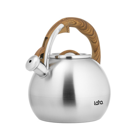 Чайник LARA LR00-82 4.5л