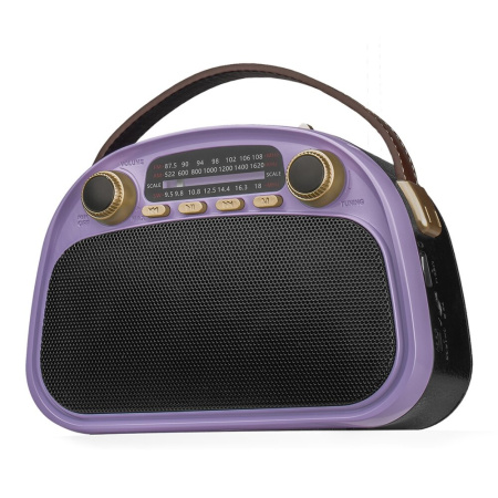 Радиоприемник RITMIX RPR-040 Lavender