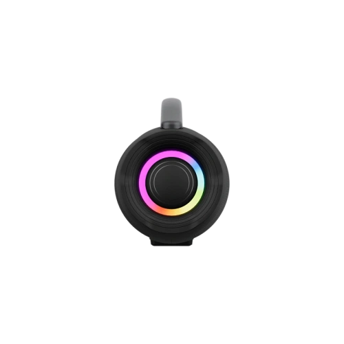 Колонка портативная Ural Молния Тренд черный