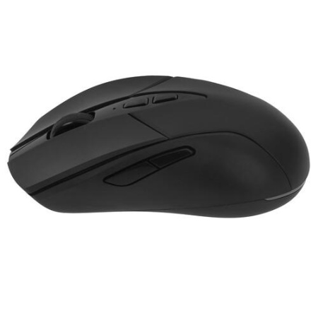 Мышь беспроводная/проводная RAPOO V300L  черный